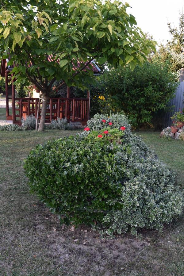 Prokop Vendeghaz Hotel Tolcsva Bagian luar foto